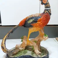 مجسمه قرقاول بلژیکی.سبک،قابل شستشو،برند Poly Nice|مجسمه، تندیس، ماکت|تهران, آبشار تهران (دریاچه)|دیوار