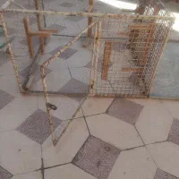 گنجه .قفس|لوازم جانبی حیوانات|شیراز, لاله|دیوار