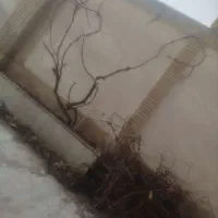 احیای باغچه تونو رو به ما بسپارید