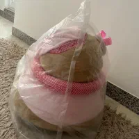 مبل کودک|تخت و صندلی بچه|تنکابن, |دیوار