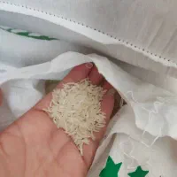 برنج آستانه طارم هاشمی فجر عنبربو|خوردنی و آشامیدنی|تهران, صادقیه|دیوار