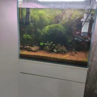 آکواریوم پلنت کامل