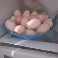 تخم مرغ محلی