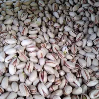 فروش و توزیع پسته
