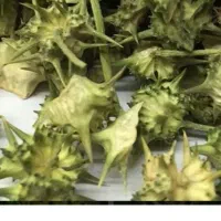خارخاسک فروشی