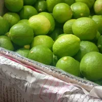 پخش میوه به سراسر استان البرز