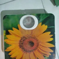 ترازو وزن کشی. ژاپنی