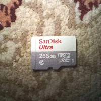 کارت حافظه ۲۵۶ گیگابایت سن دیسک