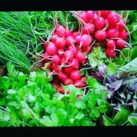 نیازمند نیرو خانم