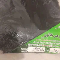 ملی دانشجویی چادر