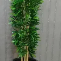 درخت بامبو|گل و گیاه طبیعی|ساوه, |دیوار