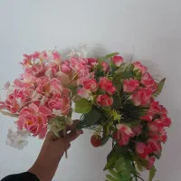 تعدادی گل|گل مصنوعی|گناباد, |دیوار