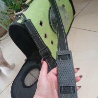 باکس سگ و گربه|لوازم جانبی حیوانات|پردیس, فاز ۳|دیوار