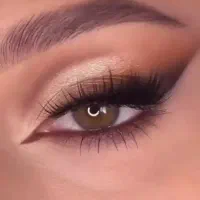 شینیون حرفه ای با میکاپ حرفه ای فقط پانصد تومان|خدمات آرایشگری و زیبایی|مشگین شهر, |دیوار