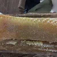 فروش عسل طبیعی درجه یک