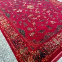 فرش رز|فرش|گرگان, |دیوار