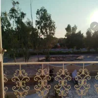 همخونه خانم صدف