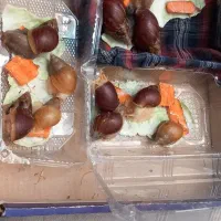 فروش