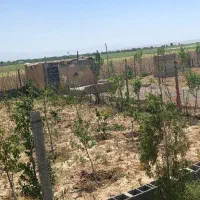 ۳۵۰متر زمین باغچه سهیلیه اقبالیه دولت آباد
