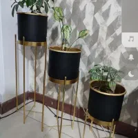 گلدان و گل|صنایع دستی و سایر لوازم تزئینی|گرگان, |دیوار