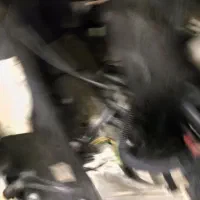 پژو پارس|خودرو سواری و وانت|قروه, |دیوار