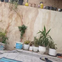 تمام گل ها فروشی غیر از گل کاغذی ها