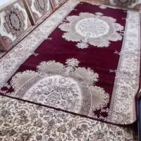 در حد نو