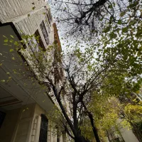 کیکاووس ۱۶۰ متر تکواحدی شخصی‌ساز