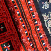 بدن و استین