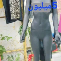 مانکن زنانه|فروشگاه و مغازه|شیراز, شهرک قمشه|دیوار