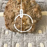 سنگ سلستین بژ قهوه ای|ماهی|دالاهو, |دیوار