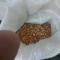 فروش انجیر|خوردنی و آشامیدنی|نی‌ریز, |دیوار