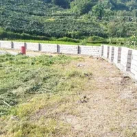 فروش زمین ۲۱۷۰ متری در تالش،خطبه سرا|فروش زمین و ملک کلنگی|تالش, هشتپر|دیوار