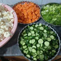 سفارش انواع ترشی خونگی ب سلیقه شما|خوردنی و آشامیدنی|بندر کنگان, |دیوار