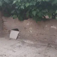 رهن و اجاره مناسب تولیدی و انبار|اجارهٔ خانه و ویلا|قرچک, داوود آباد|دیوار