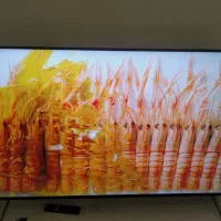 ال‌ای‌دی۶۵اینچ سونی سری۸گوگلTVهوشمند۱۲۰هرتز|تلویزیون و پروژکتور|تهران, پرستار|دیوار