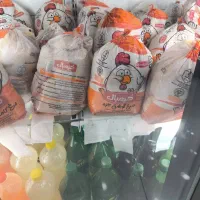 مرغ گرم دولتی