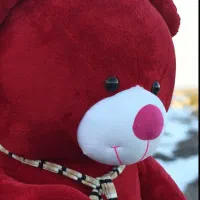 خرس بزرگ قرمز دو متری ولنتاین با قیمت مناسب