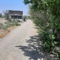 معاوضه  خودرو با زمین سنددار|فروش زمین و ملک کلنگی|محمدشهر, همایون ویلا|دیوار