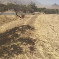 زمین مرغوب درجه بغل روستاوکتارجاده اصلی|فروش زمین و ملک کلنگی|دینور, |دیوار