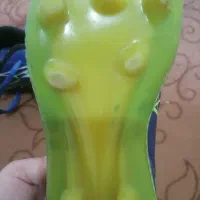 کفش نو|کیف، کفش، کمربند|قم, پردیسان|دیوار