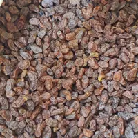 کشمش آفتابی