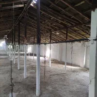 فروش مرغداری سنتی در رشت. لاکان