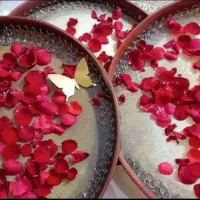 خدمات پذیرایی مراسم ،اموزش دفنوازی مولودی خوانی|خدمات پذیرایی، مراسم|مشهد, شهید فرامرز عباسی|دیوار