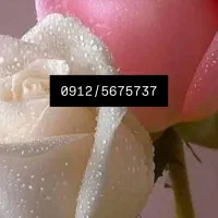 سیمکارت فروشی