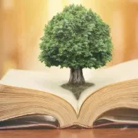 تدریس خصوصی ابتدایی