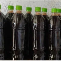 رب انار شیراز