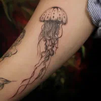 تتو کاملا رایگان