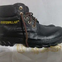 پوتین شماره ۴۲۴۳