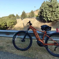 دوچرخه برقی جاینت تالون 29 سال ساخت 2023